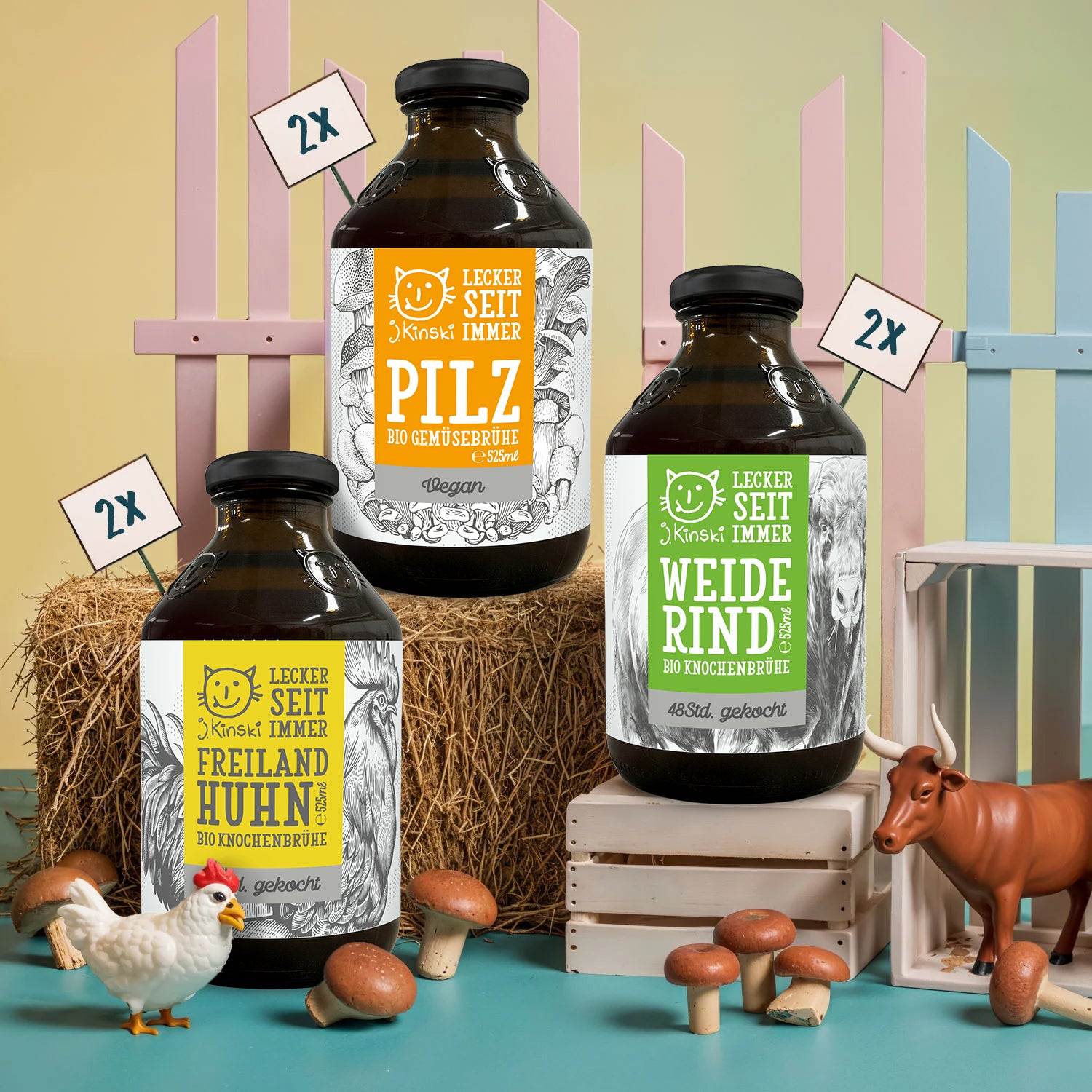 Bio Brühen Klassiker Box